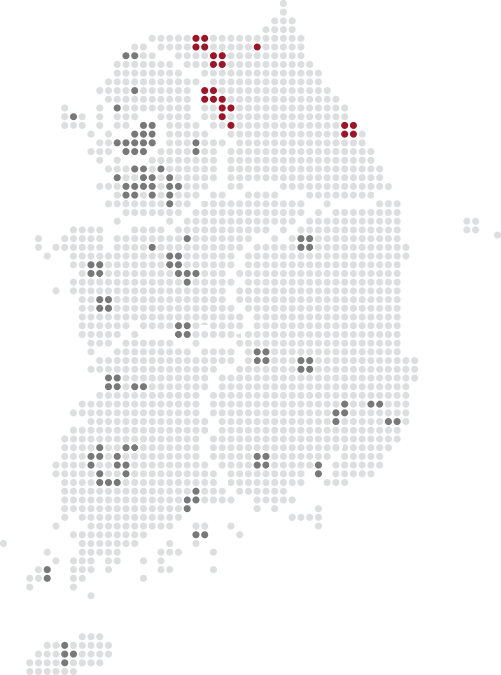 강원포인트 지도배경